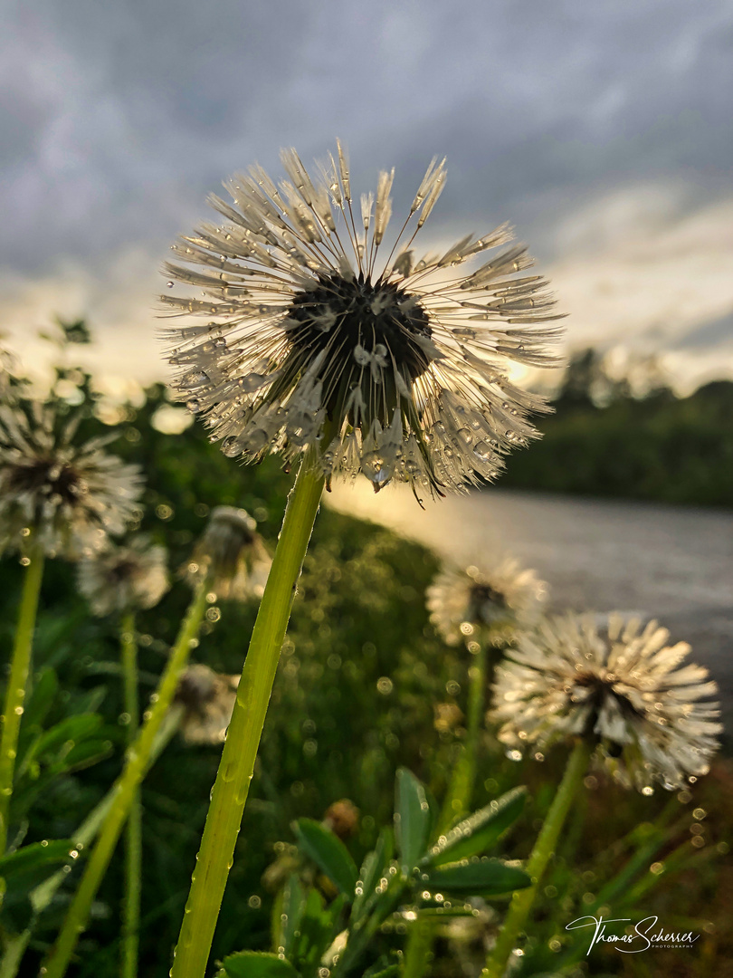 Nach dem Regen