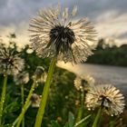 Nach dem Regen