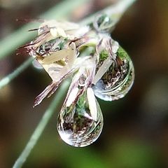 Nach dem Regen