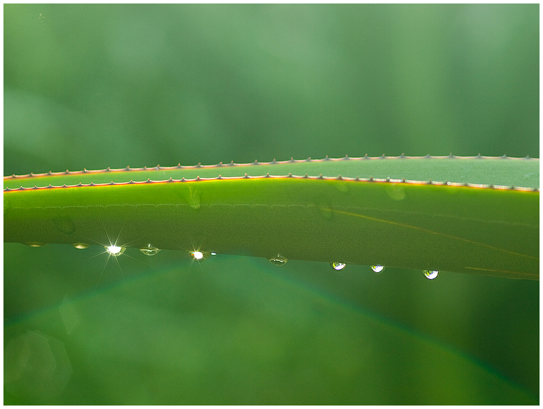 Nach dem Regen