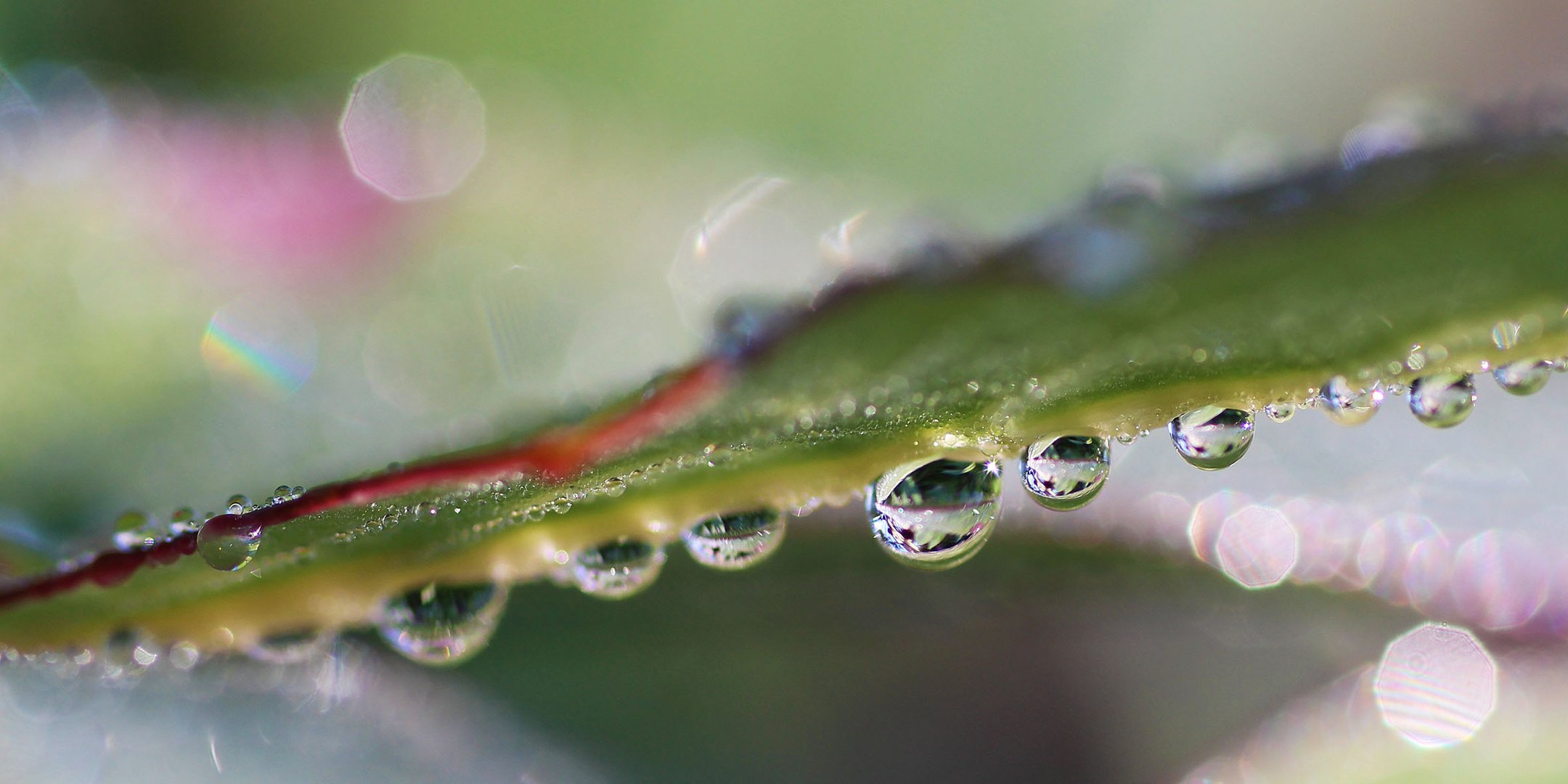 nach dem Regen