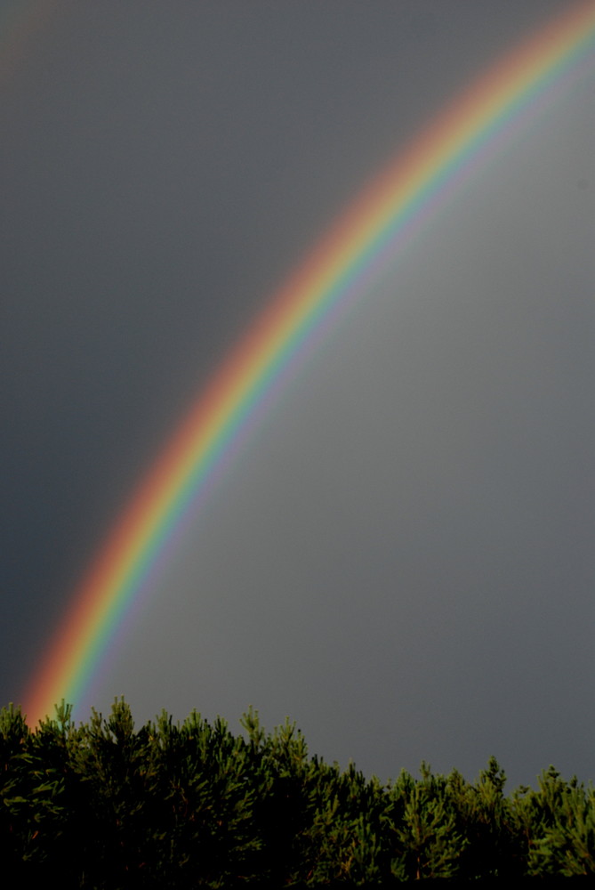 Nach dem Regen...