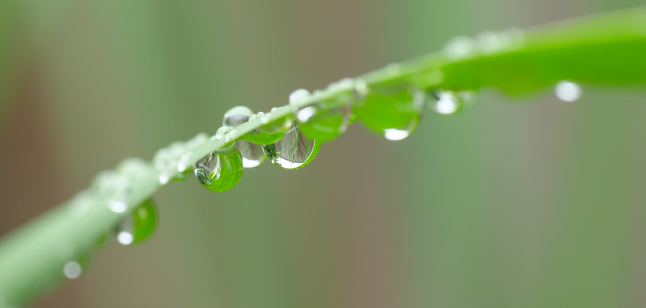 Nach dem Regen