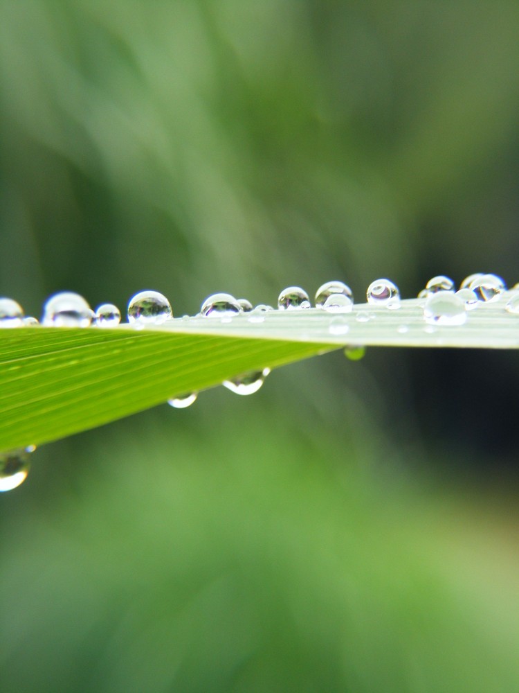 nach dem Regen