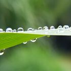 nach dem Regen