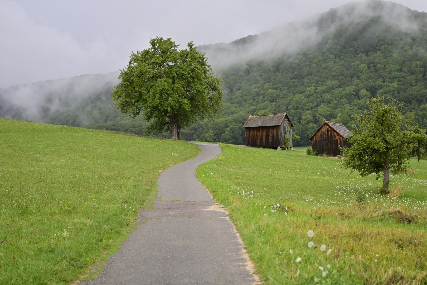 Nach dem Regen