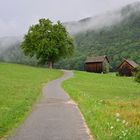 Nach dem Regen