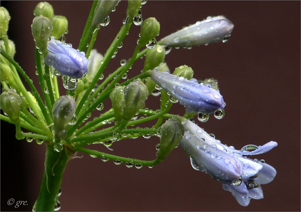 Nach dem Regen