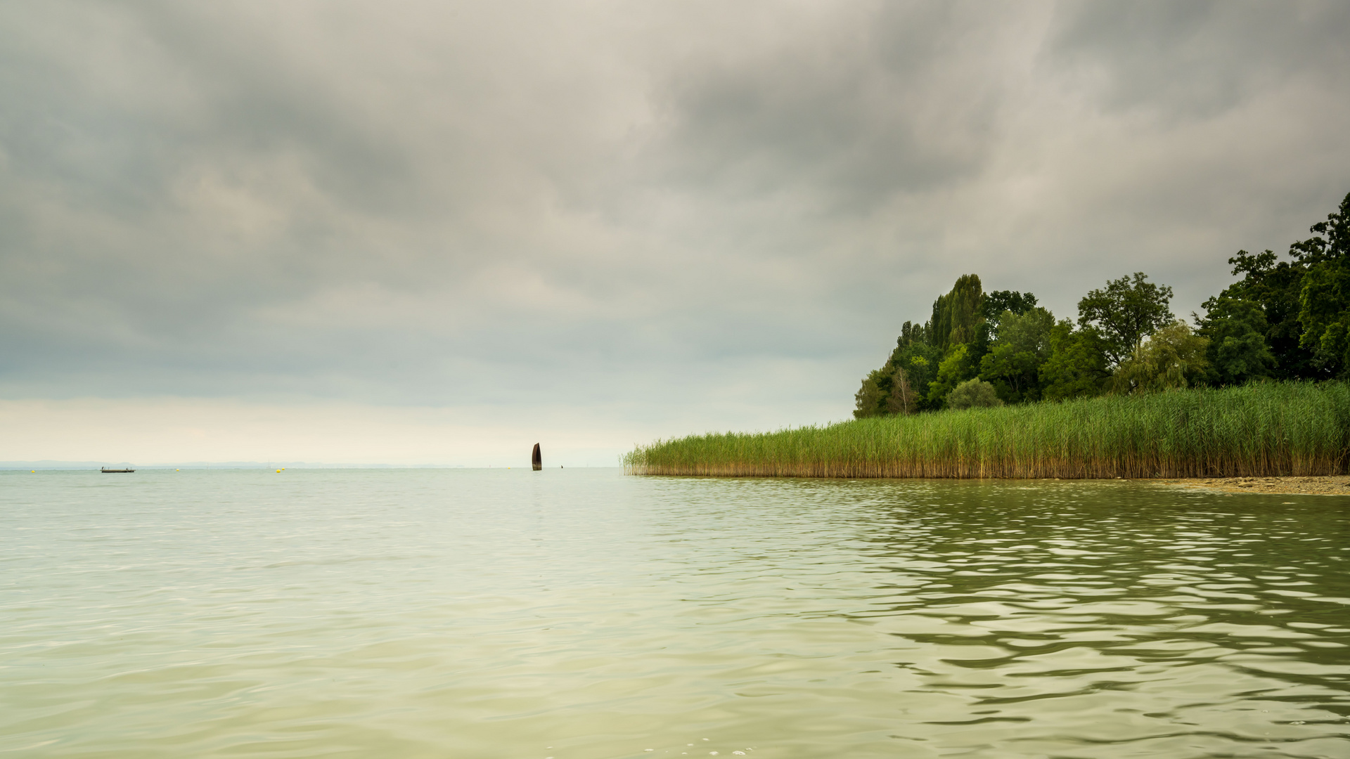 Nach dem Regen