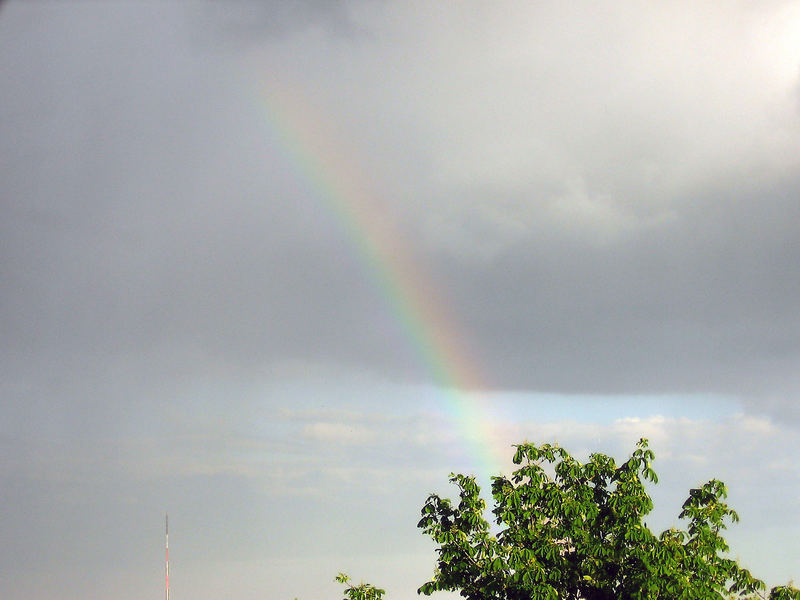 Nach dem Regen...