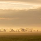 Nach dem Regen... 