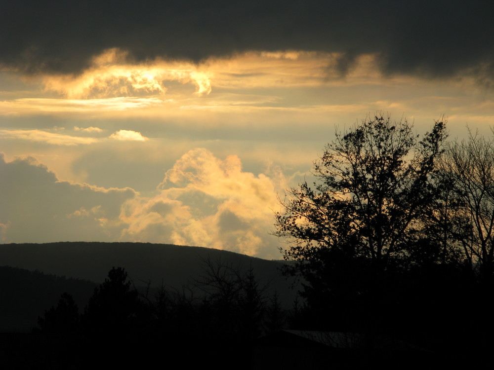 nach dem regen....