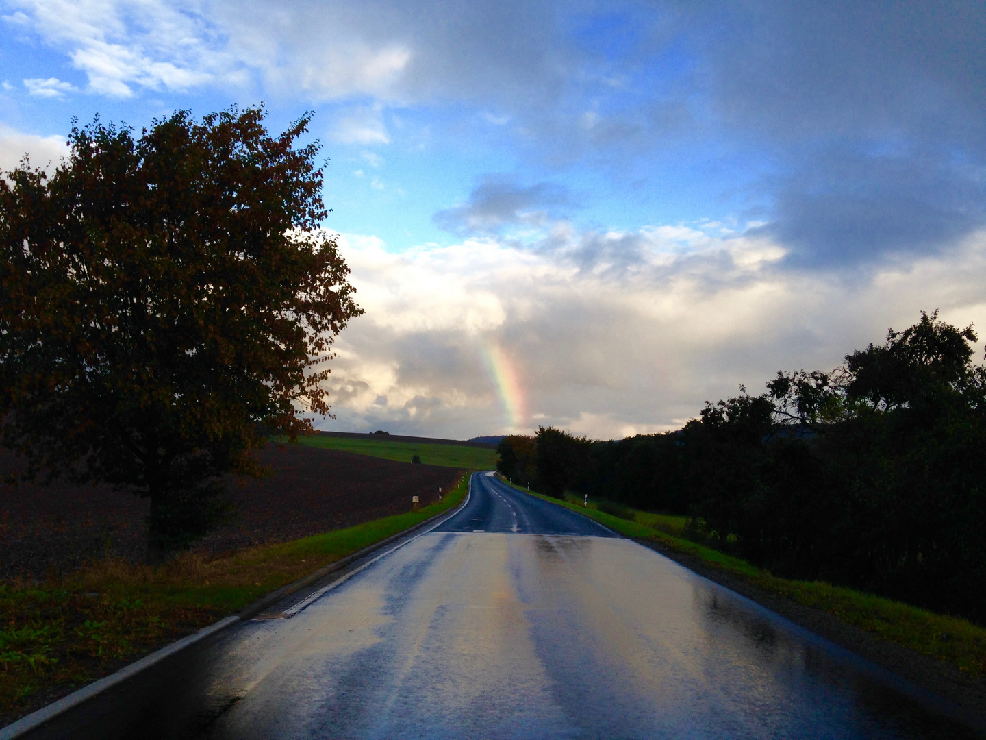 Nach dem Regen