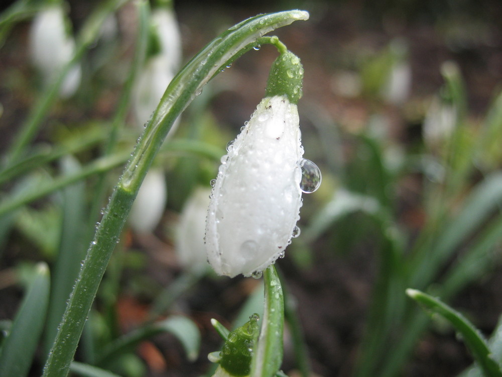 Nach dem Regen