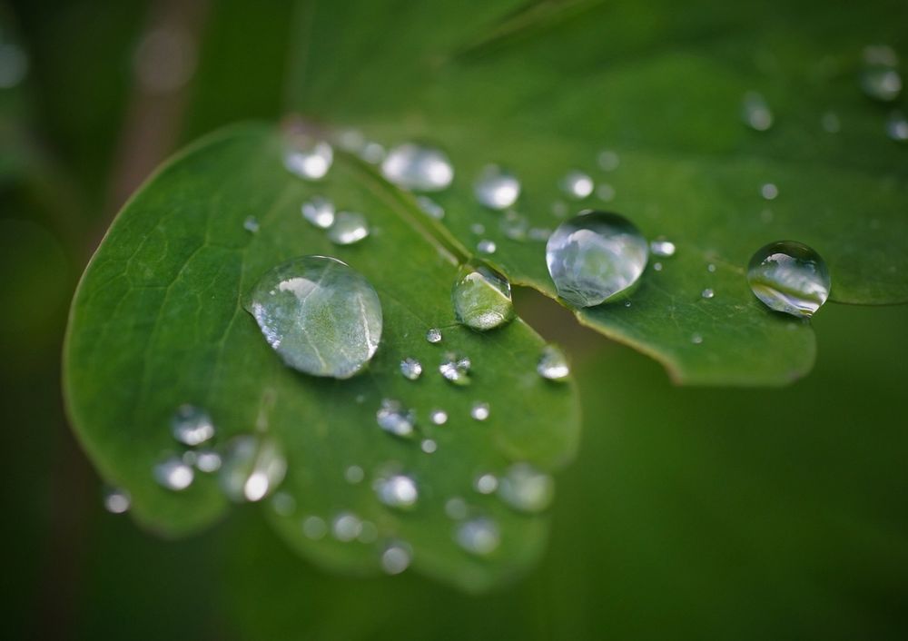 Nach dem Regen 