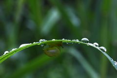 Nach dem Regen