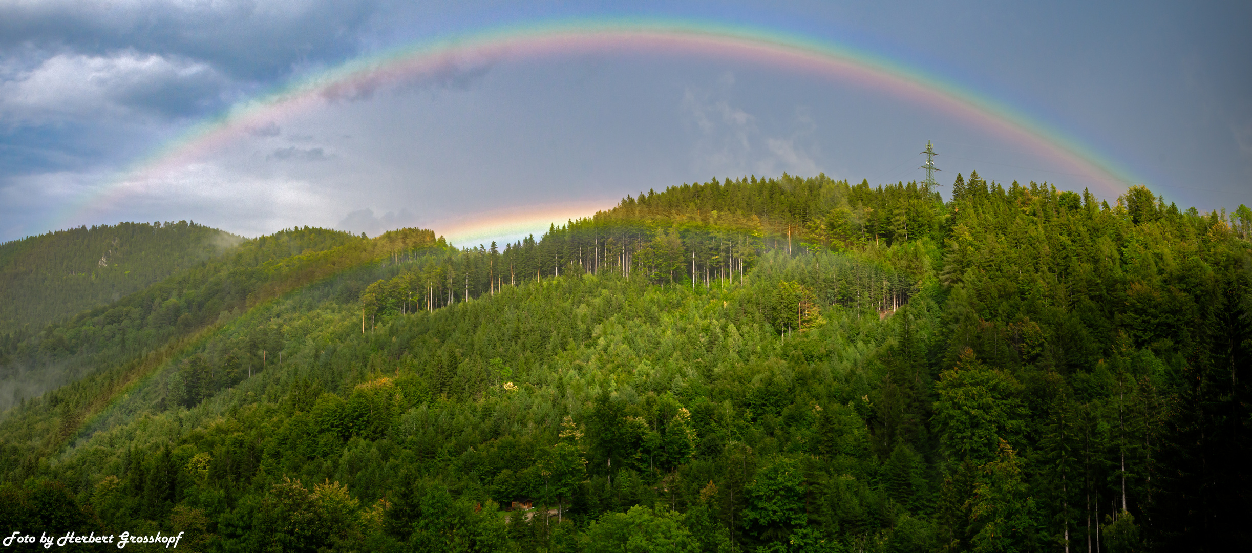 ...nach dem Regen...