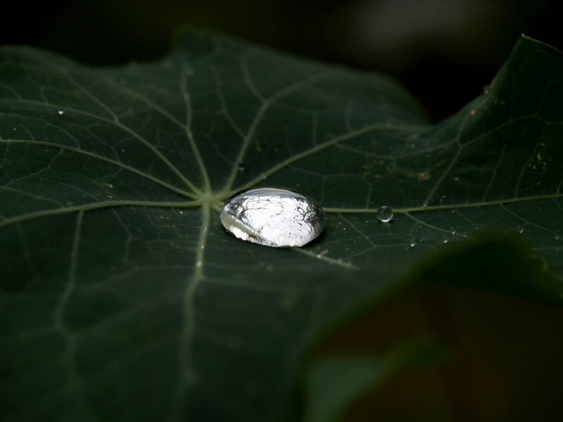 nach dem Regen