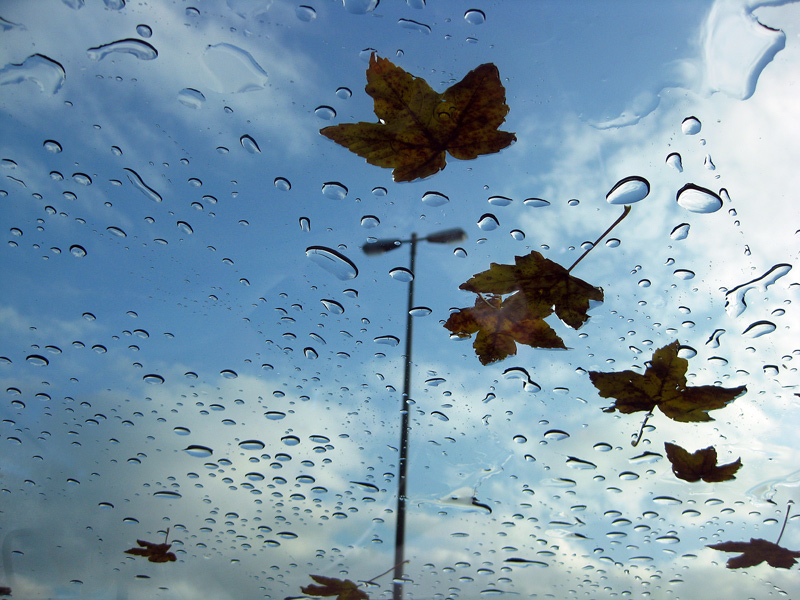 nach dem Regen...