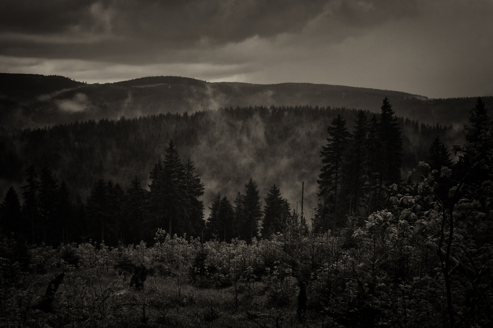 Nach dem Regen