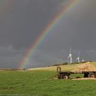 Nach dem Regen