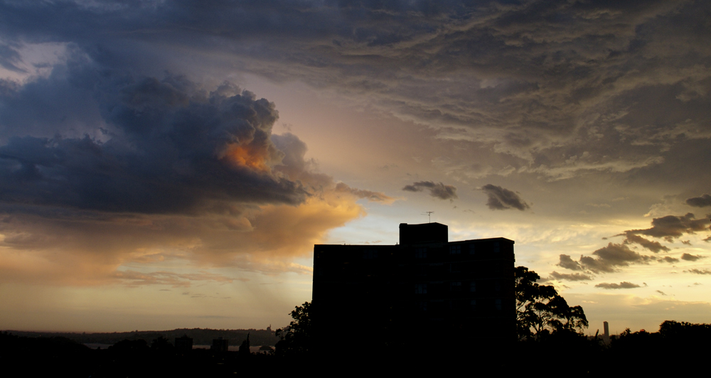 Nach dem Regen...