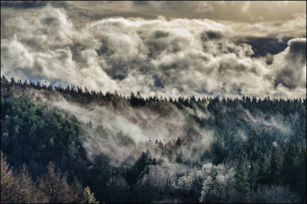 nach dem Regen