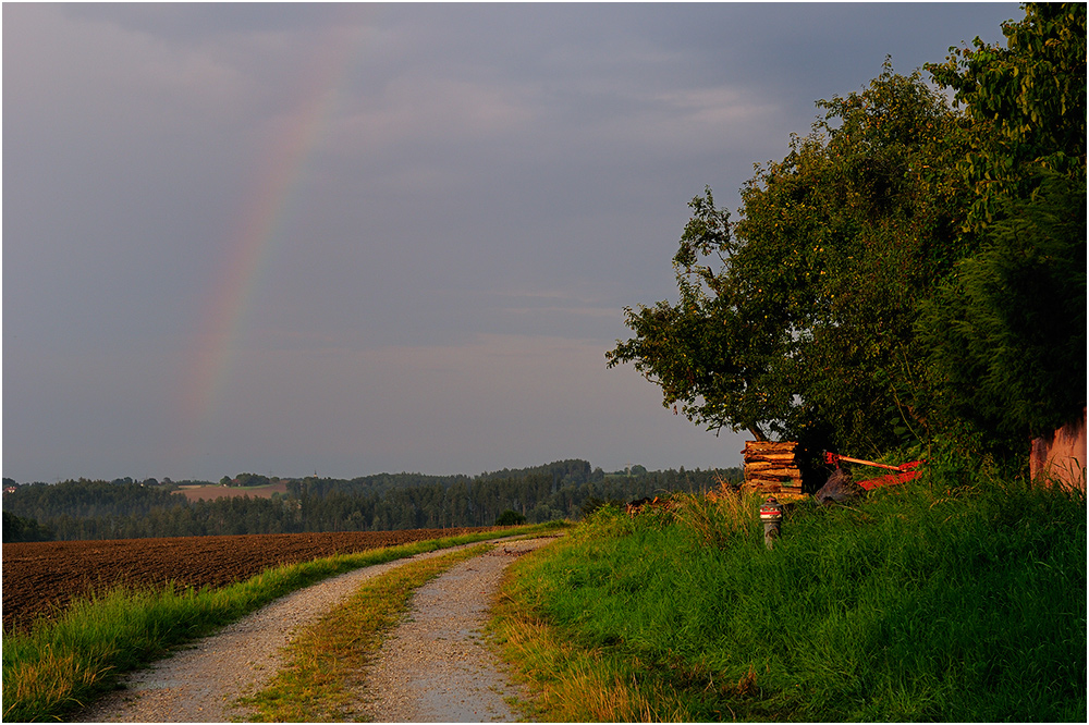 Nach dem Regen