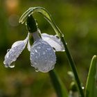 Nach dem Regen