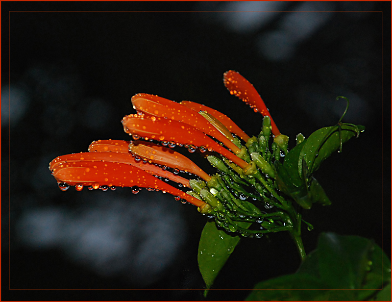 Nach dem Regen