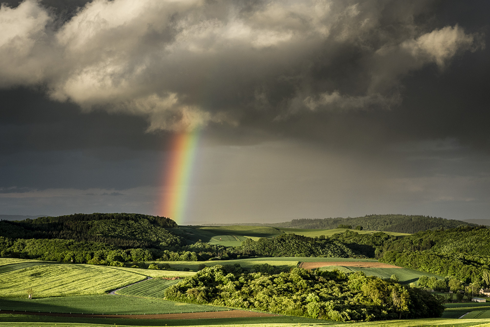 Nach dem Regen