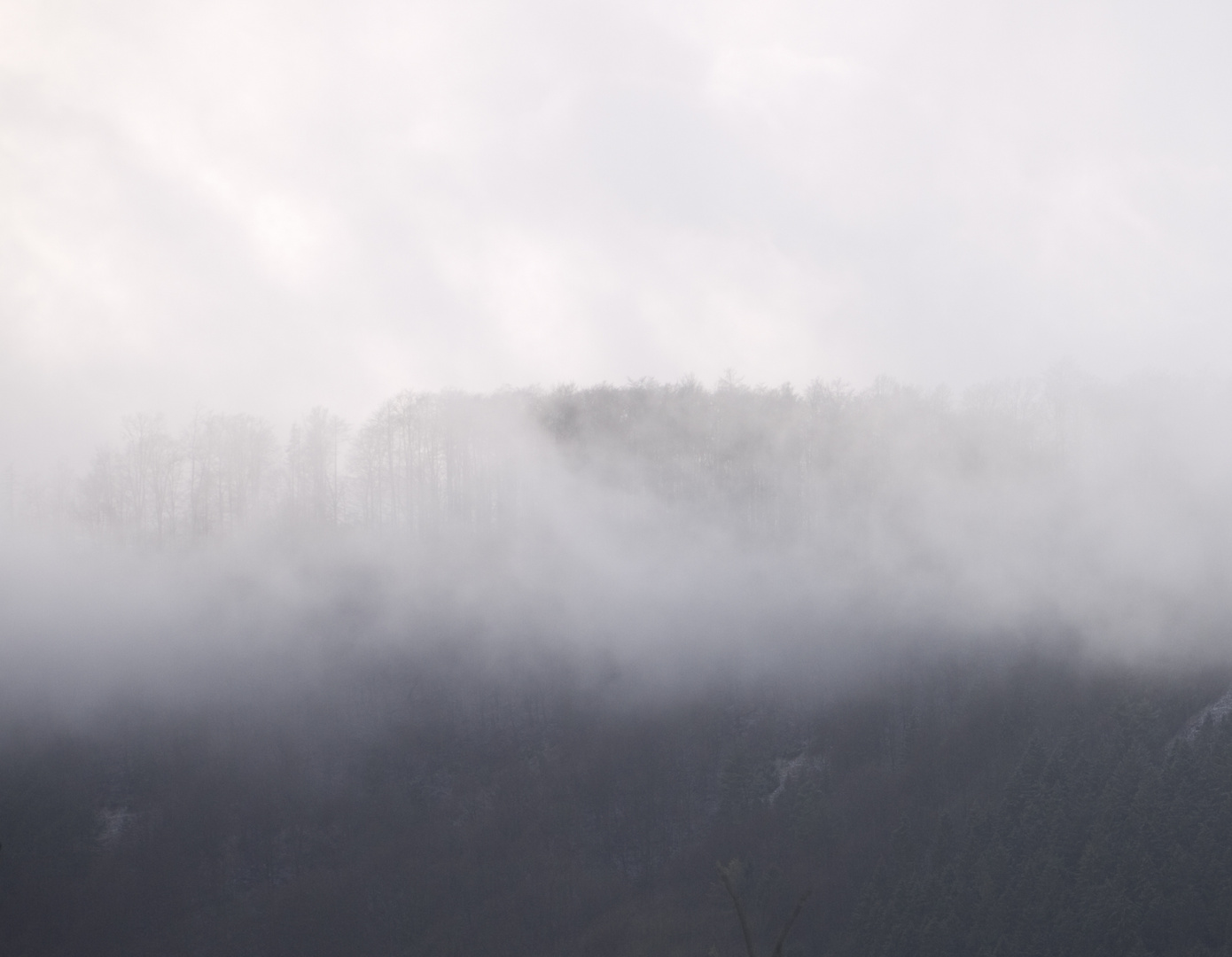 Nach dem Regen