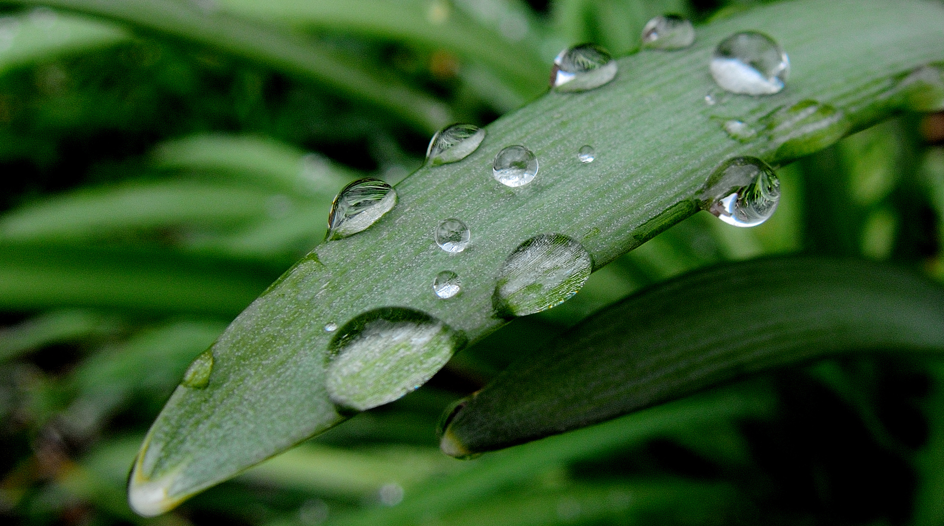 Nach dem Regen