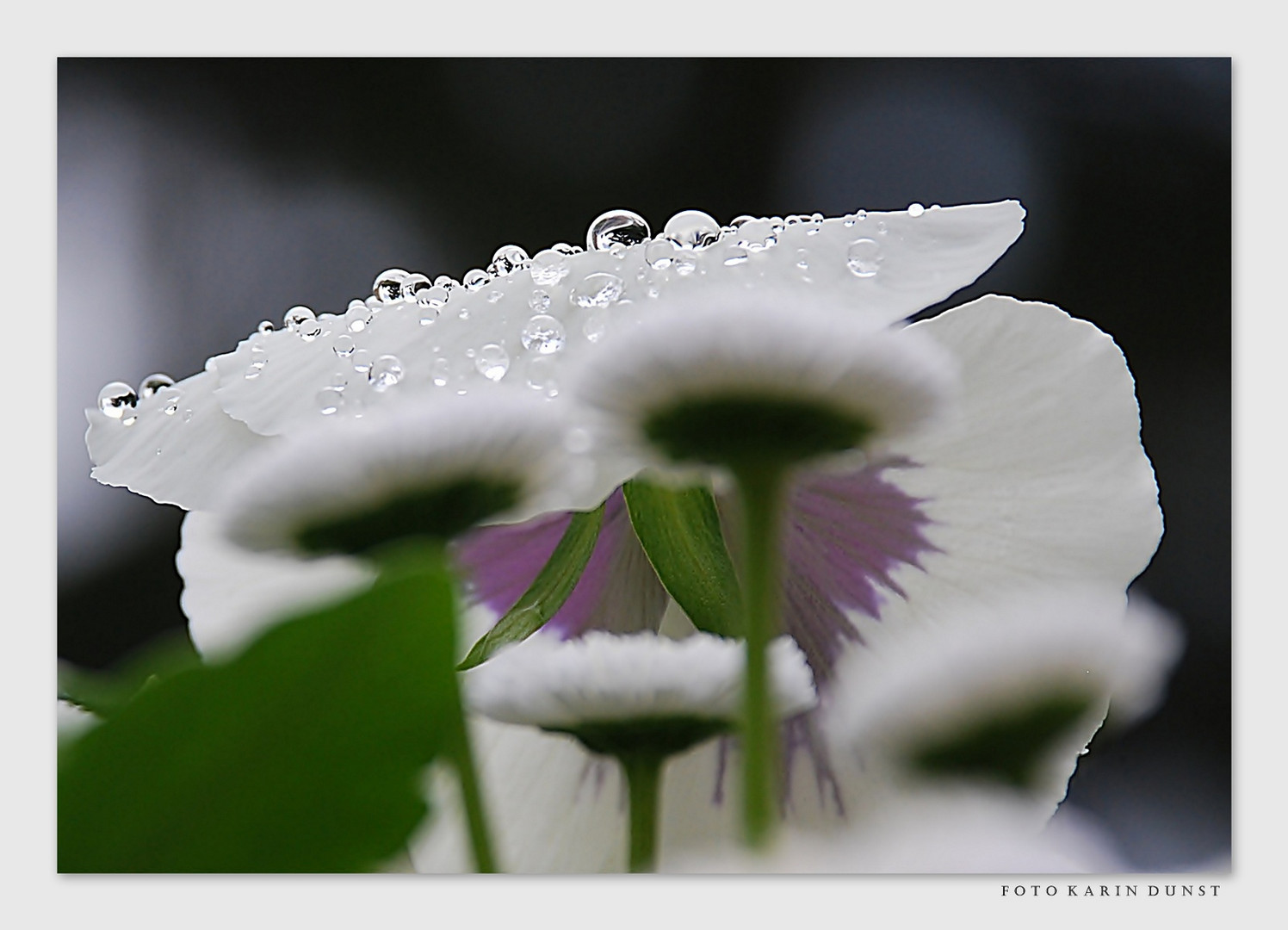 Nach dem Regen