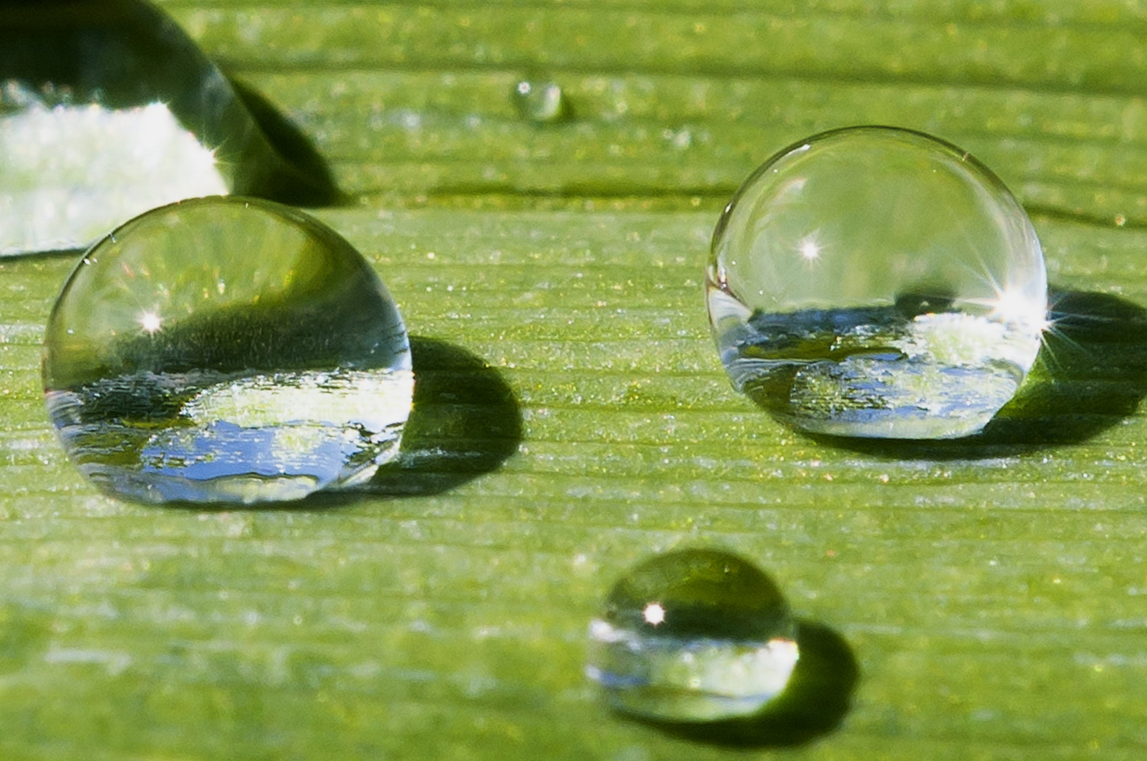 Nach dem Regen