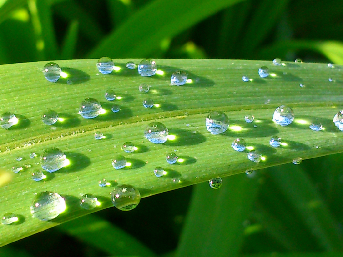 nach dem Regen