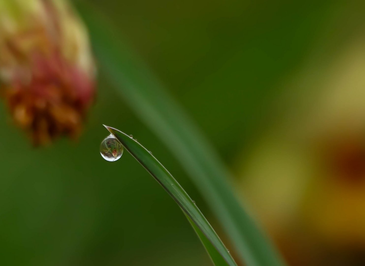 nach dem Regen