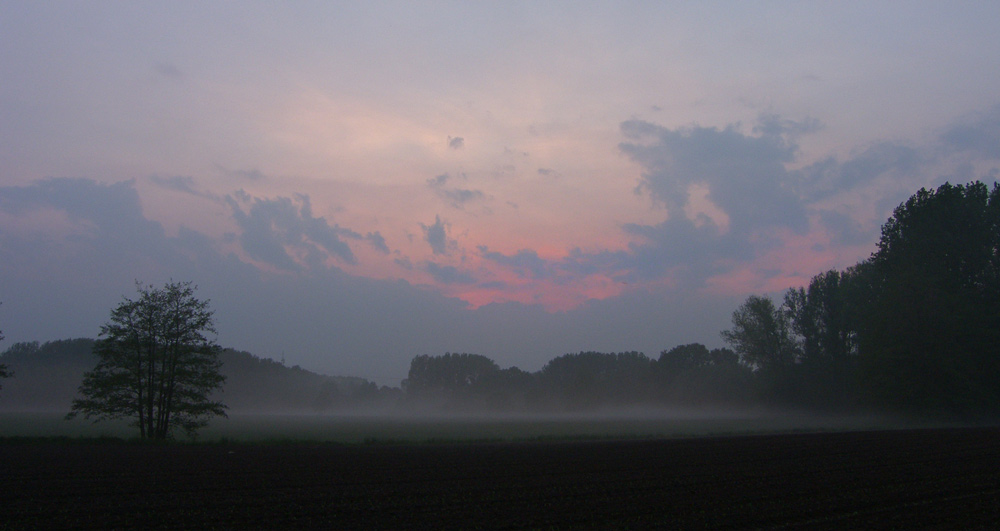 "....nach dem Regen."