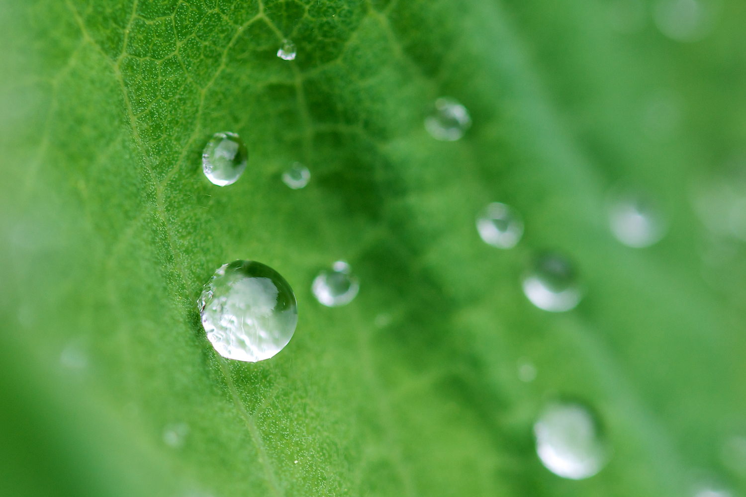 Nach dem Regen