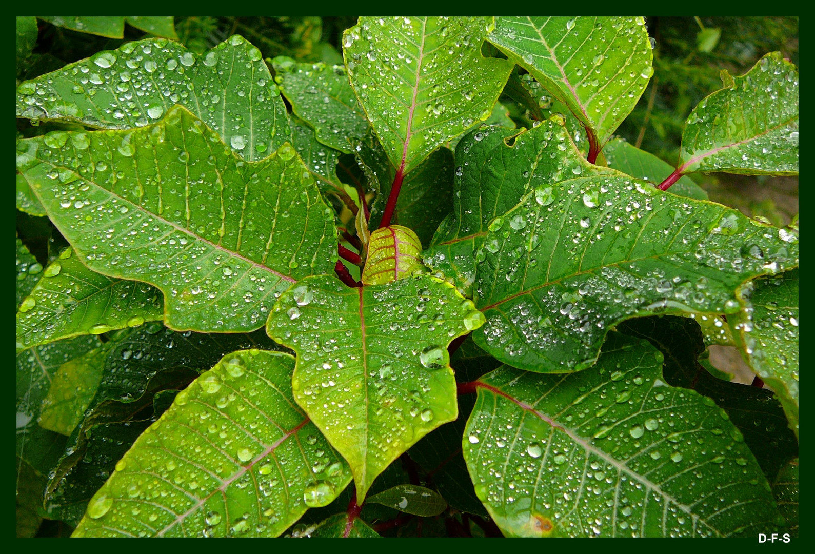 Nach dem Regen...