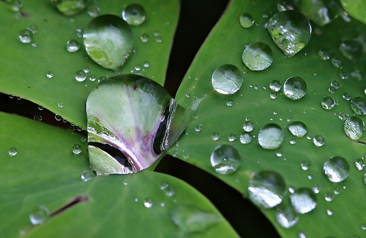 Nach dem Regen