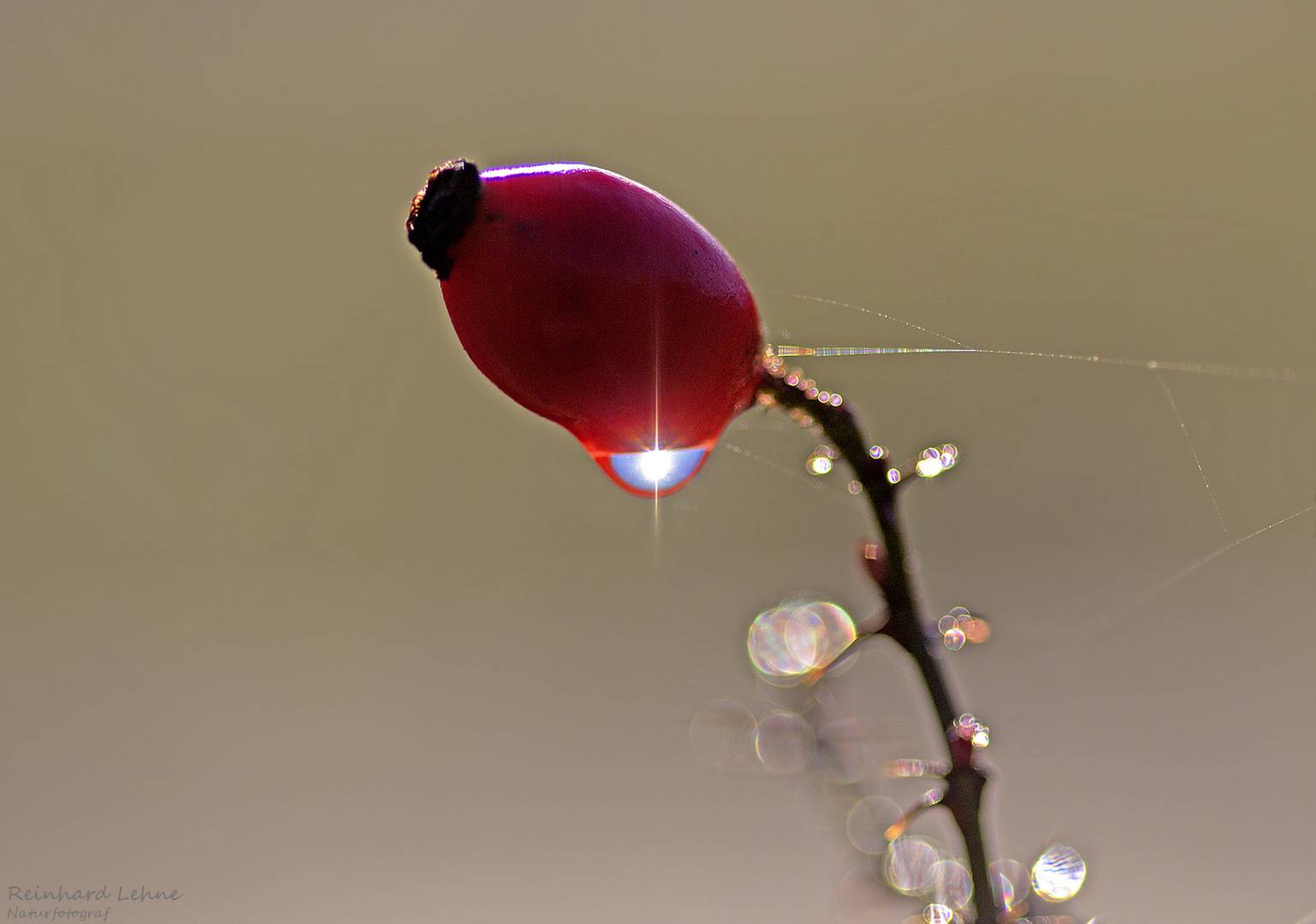  Nach dem Regen...