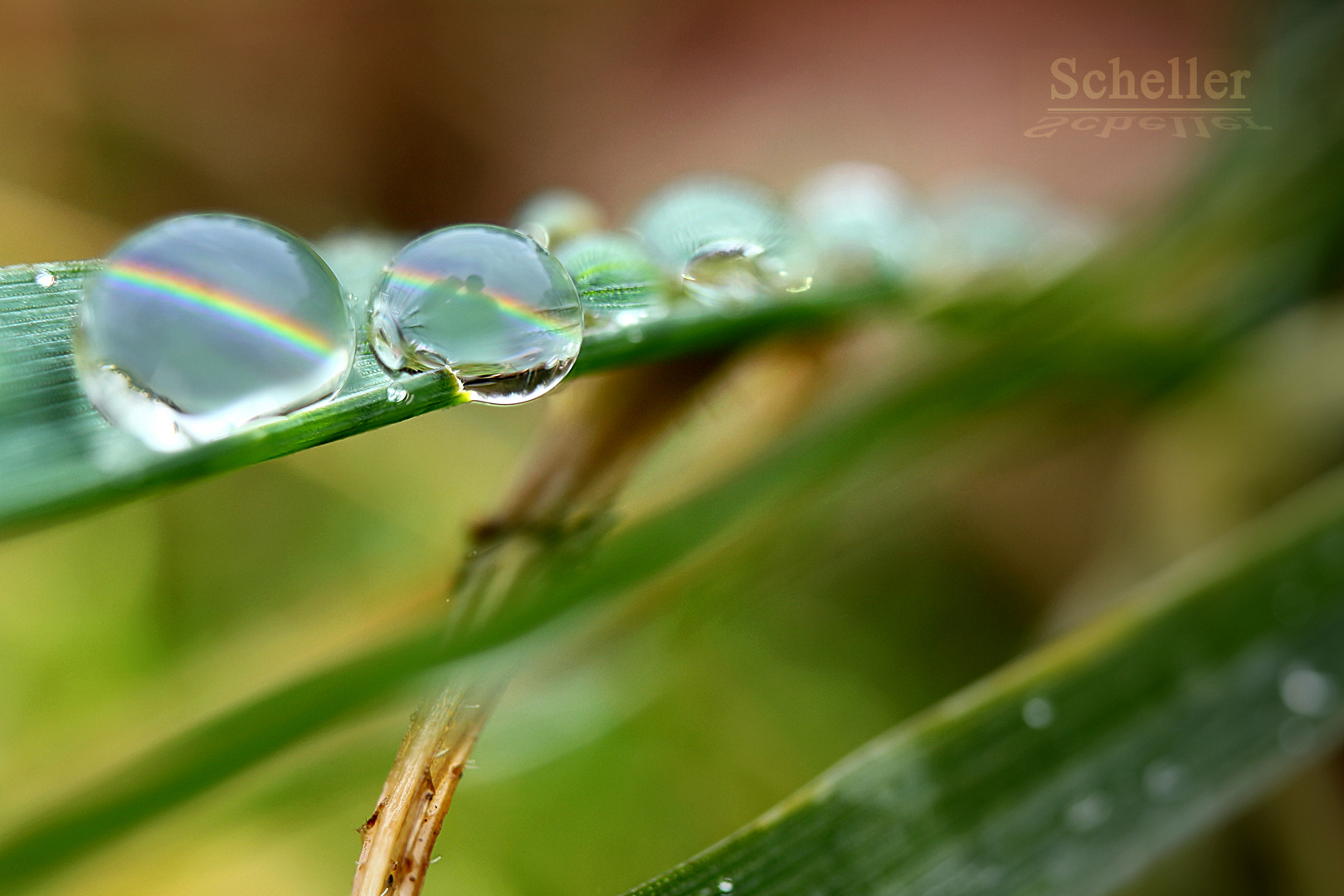 Nach dem Regen