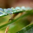 Nach dem Regen