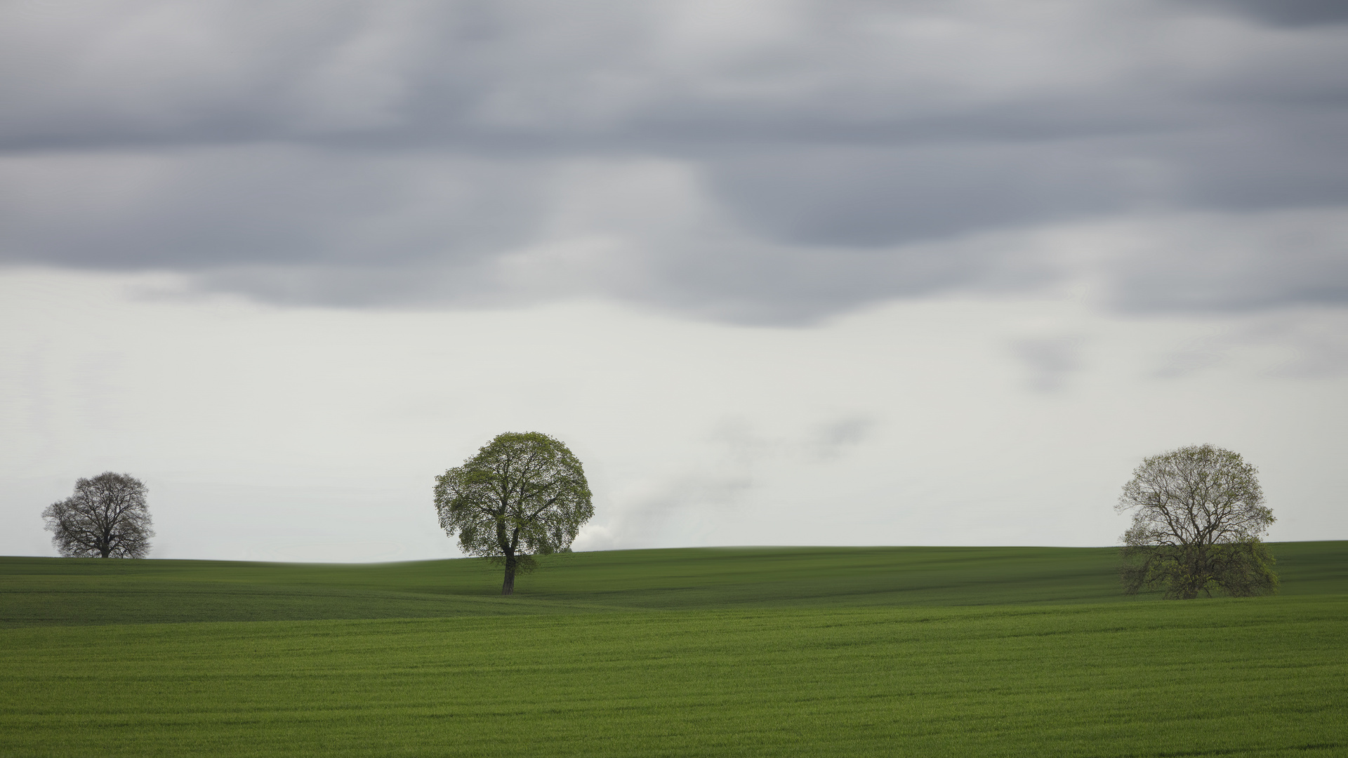 nach dem Regen