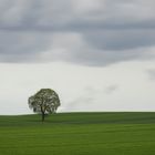 nach dem Regen