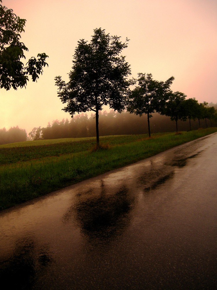 Nach dem Regen...