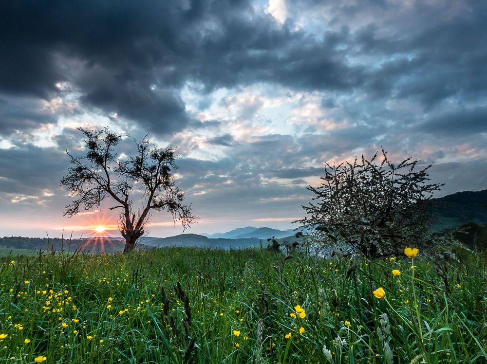 Nach dem Regen