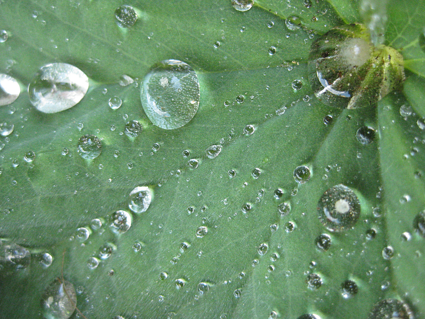 Nach dem Regen