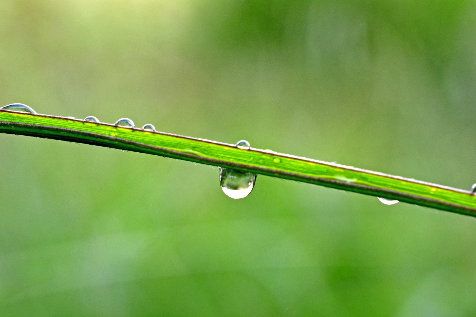 Nach dem Regen